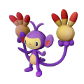 Ambipom