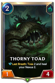 Thorny Toad