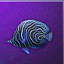 Bluewirl Fish