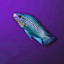 Leopardfish