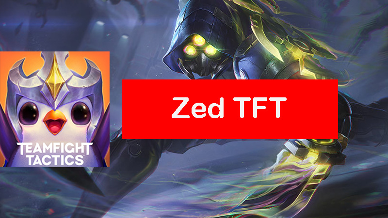 zed-tft-build
