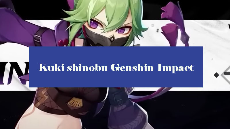 kuki-shinobu-genshin-impact