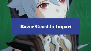 Best Razor Build: Weapons, Artifacts [Genshin Impact] - Zathong