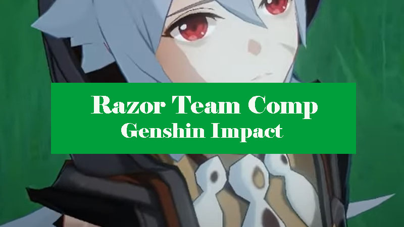 genshin impact best razor team