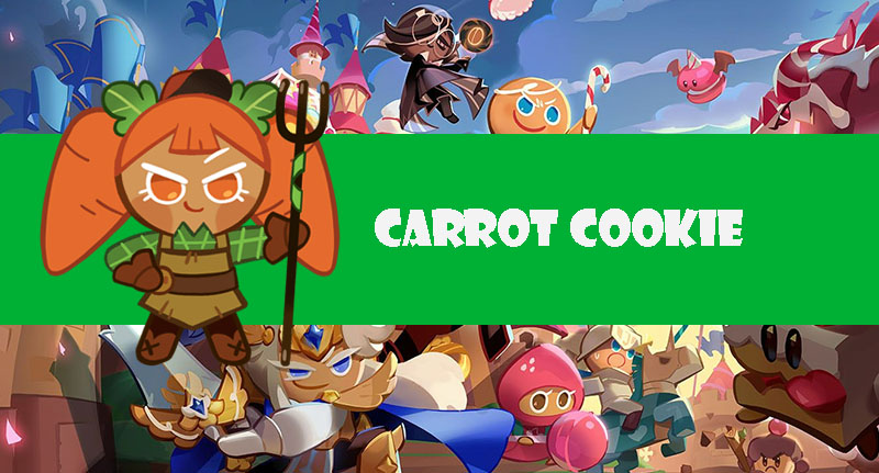 carrot-cookie-build