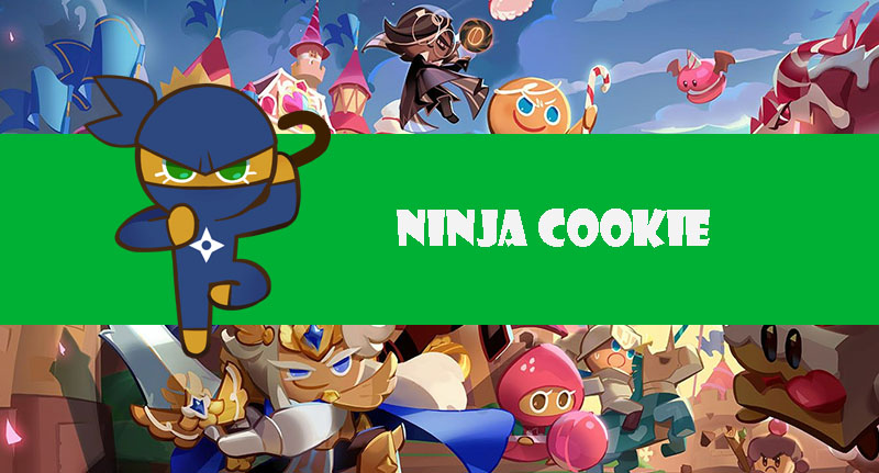 ninja-cookie-build