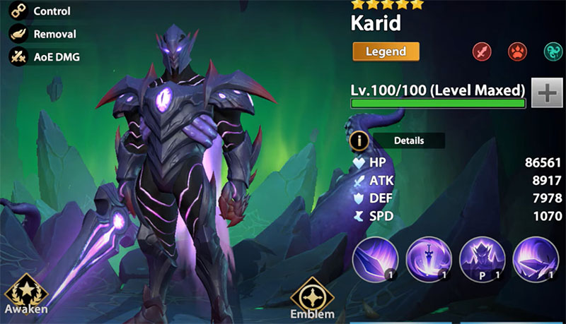 karid-infinite-magicraid-build